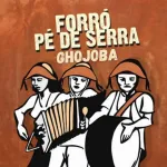 Foto do grupo Forro do Ghojoba