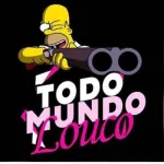 Imagem do grupo Todo Mundo Louco
