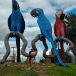 Icone Eventos e festas Campo Grande