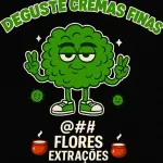 Foto do grupo ShopFlex Cannabis