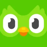 Icone Duolingo Practice