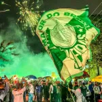 Foto do grupo Palmeiras