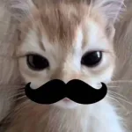 Icone Jogos, Memes e Animes