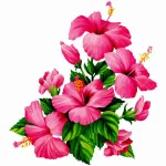 Icone Somente estetica feminina
