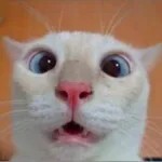 Icone COMUNIDADE CAPS 2.0