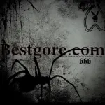 Icone DEEP WEB