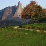 Imagem do grupo Grupex da zuerex