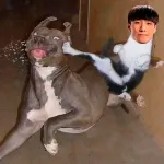 Icone League Of Legends - BR