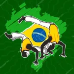 Icone CAPOEIRAS DO BRASIL