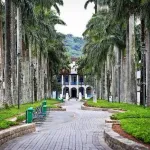 Icone cambada de joinvas