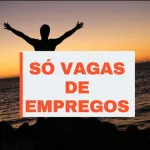 Icone So Vagas De Emprego 1