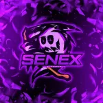 Icone 1 SENEX APOSTAS