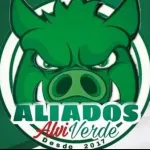 Icone 100 % PALMEIRAS