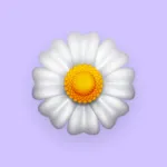 Icone Celestial kpop