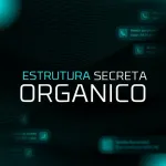 Icone Network Brasil