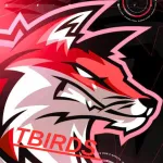 Foto do grupo TBIRDS
