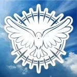 Icone Chat | AD Luz Divina