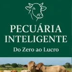 Foto do grupo Pecuaria Inteligente