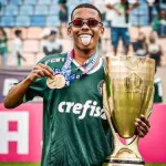 Icone Palmeiras