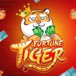 Icone MINUTOS DO TIGRE EXCLUSIVO