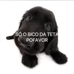 Icone 🥀GALERA🌻