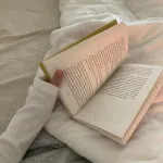 Icone Divulgando livros