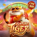 Icone EQUIPE VIVI SLOTS 🎰🍀🐯
