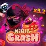 Icone Ninja Crash