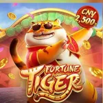Icone ROBO VIP – BETBRY e BBRBET🤑