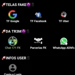 Foto do grupo apk de pix fake