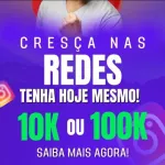 Icone Seguidores baratos