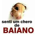 Icone Conectados pela Bahia