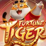 Icone FORTUNA VIP GRATIS