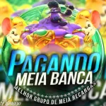 Icone MEIA RECARGA/SORTEIOS/ BANCAS COMPLETAS 📍(GEISSY)🌻