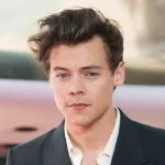 Icone PRODUTOS HARRY STYLES
