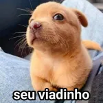 Icone Tropa do Mc Kevin 👼🏻💫