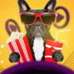 Icone FILMES, SÉRIES E CANAIS AO VIVO – IPTV