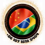 Icone 🇧🇷 LIANG CAMISAS DE TIME 1.1 🇨🇳