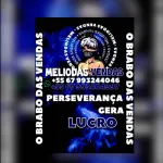 Foto do grupo MELIODAS VENDAS