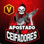 Foto do grupo APOSTAS CEIFADORES GP 20