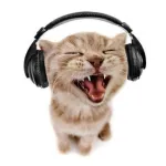 Imagem do grupo Grupo da Musica