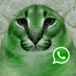 Imagem do grupo viejs flopers