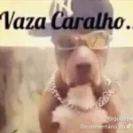 Imagem do grupo Gurizada da resenha