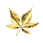 Imagem do grupo Cannabis