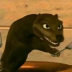 Imagem do grupo OS GATUNOS