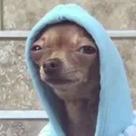 Imagem do grupo Shitpost