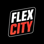 Imagem do grupo FLEX CITY LATAM