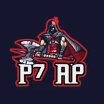 Imagem do grupo P7 VENDAS DE CONTA FF
