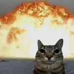 Imagem do grupo Chat do Indrax