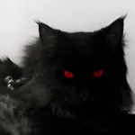 Icone The New Page | CHAT DA HISOKA ZX